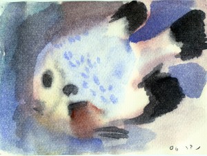 אלמוגית, אקוורל (צבע מים על נייר).