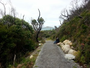 סקוויקי ביצ', פרום