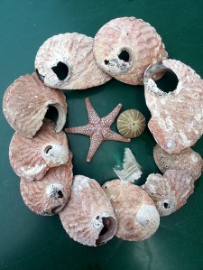 מיקי אוספת אותן בחופים