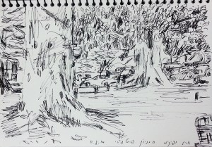 עצים בחניון פורט פיירי