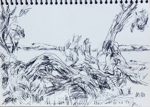 ימת המלח בפארק הלאומי קוררונג.