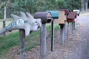 תבות דואר ביער.