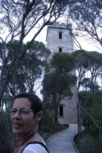 מגדל תצפית הלוויתנים של בויד