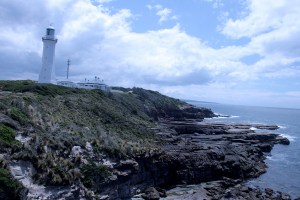 המיגדלור במפרץ האסונות באיידן