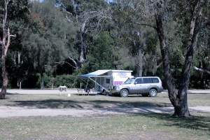 מאלאקוטה המדהימה