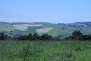 שדות הגראנד רידג'
