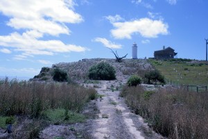 ימת אלכסנדרינה