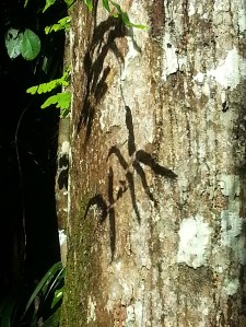 איך עשו את זה?